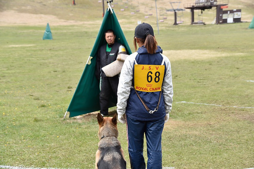 八王子市の犬のしつけ訓練ドッグスクールマリン