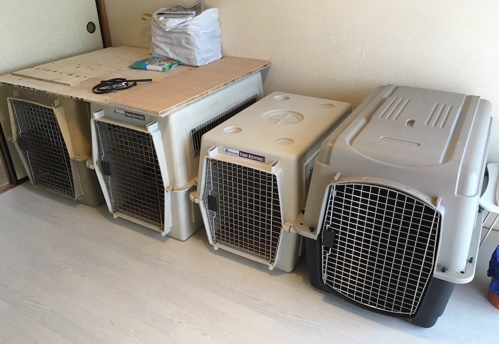 八王子市の犬のしつけ訓練ドッグスクールマリン