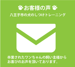 お客様の声|八王子市の犬のしつけ訓練ドッグスクールマリン