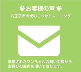 お客様の声|八王子市の犬のしつけ訓練ドッグスクールマリン